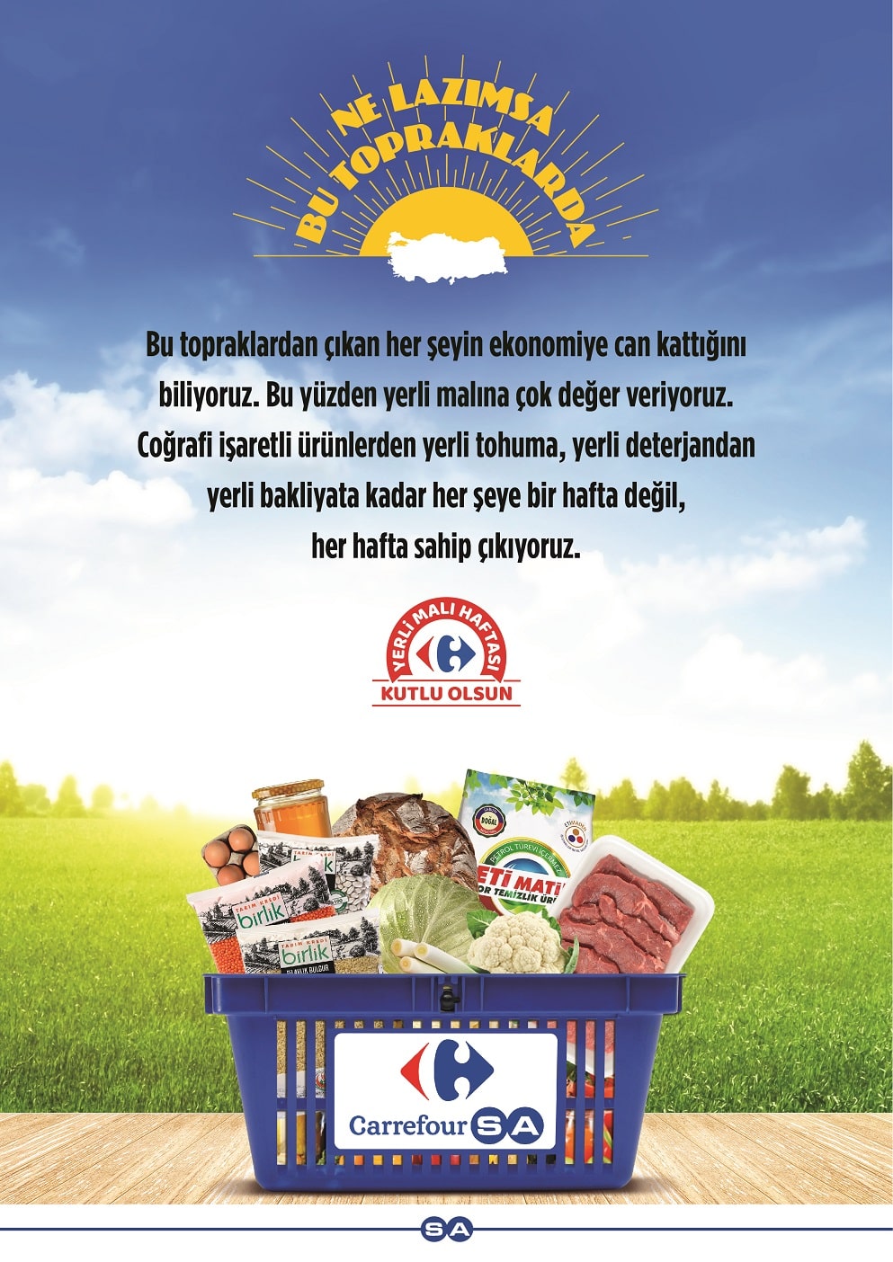 carrefoursa-logo