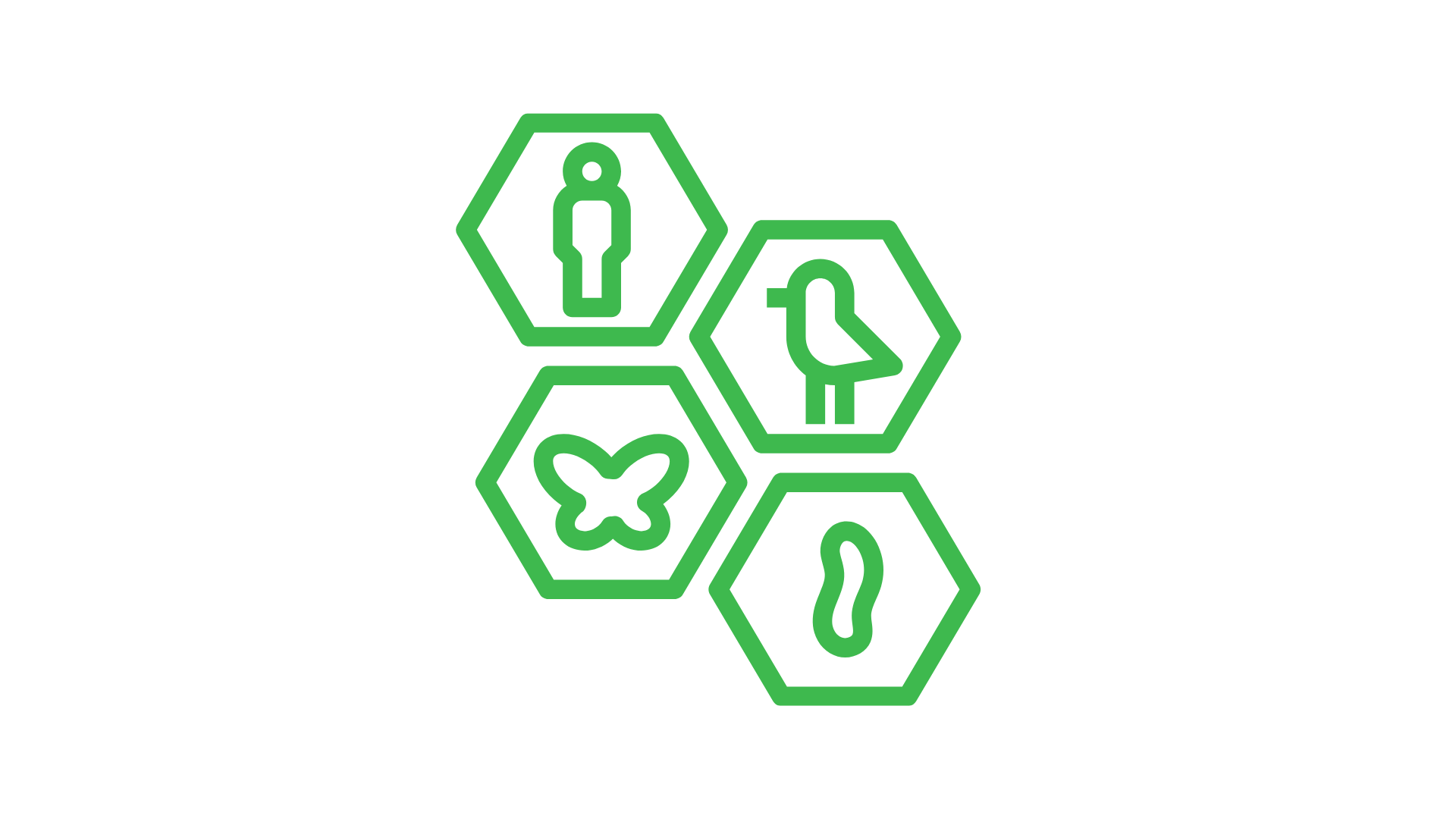 carrefoursa-logo