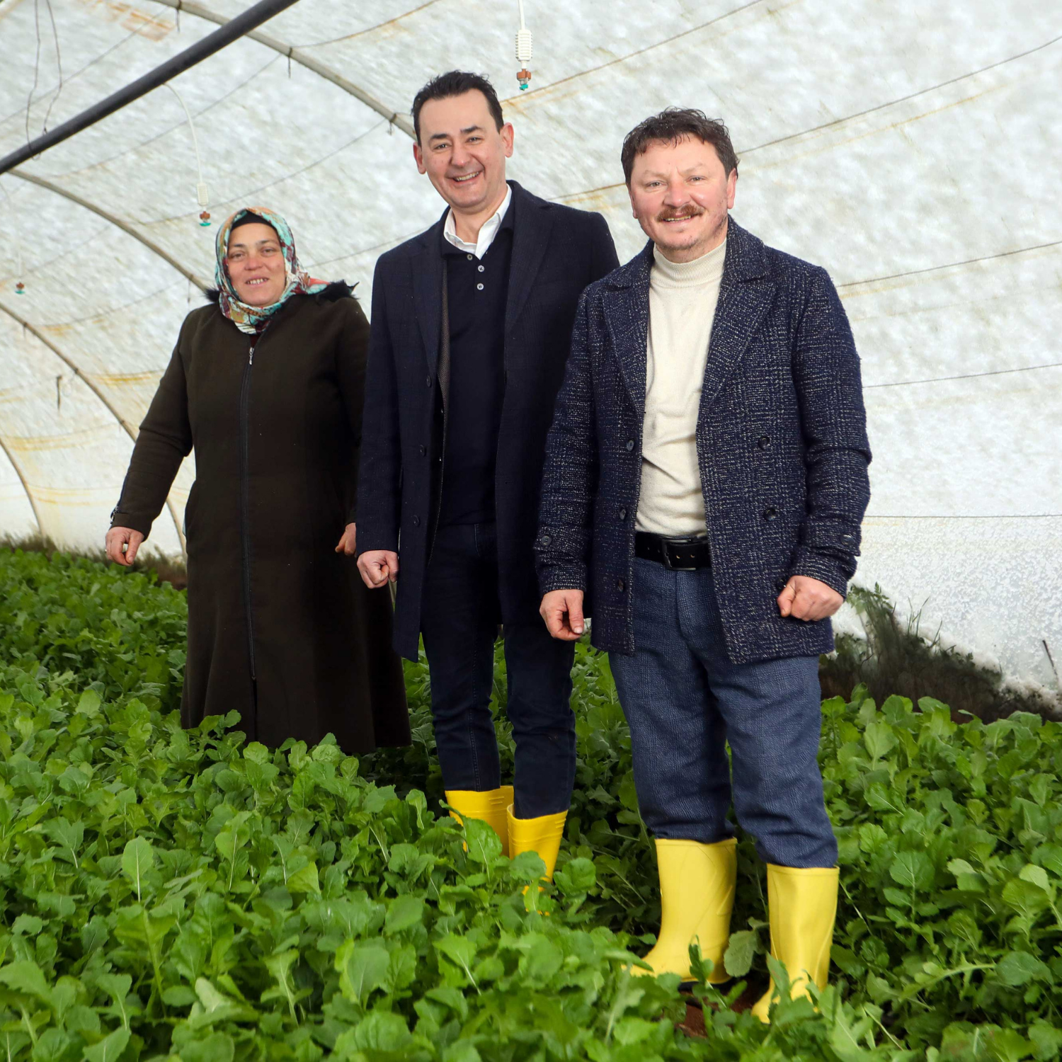 City-Grown; Fresh and Safe Consumption