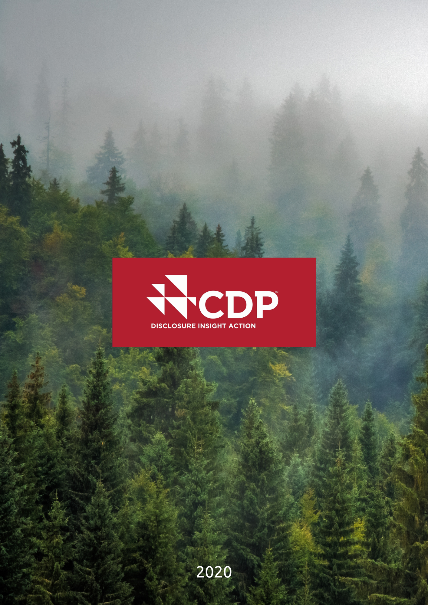 2020 CDP İklim Değişikliği Raporu