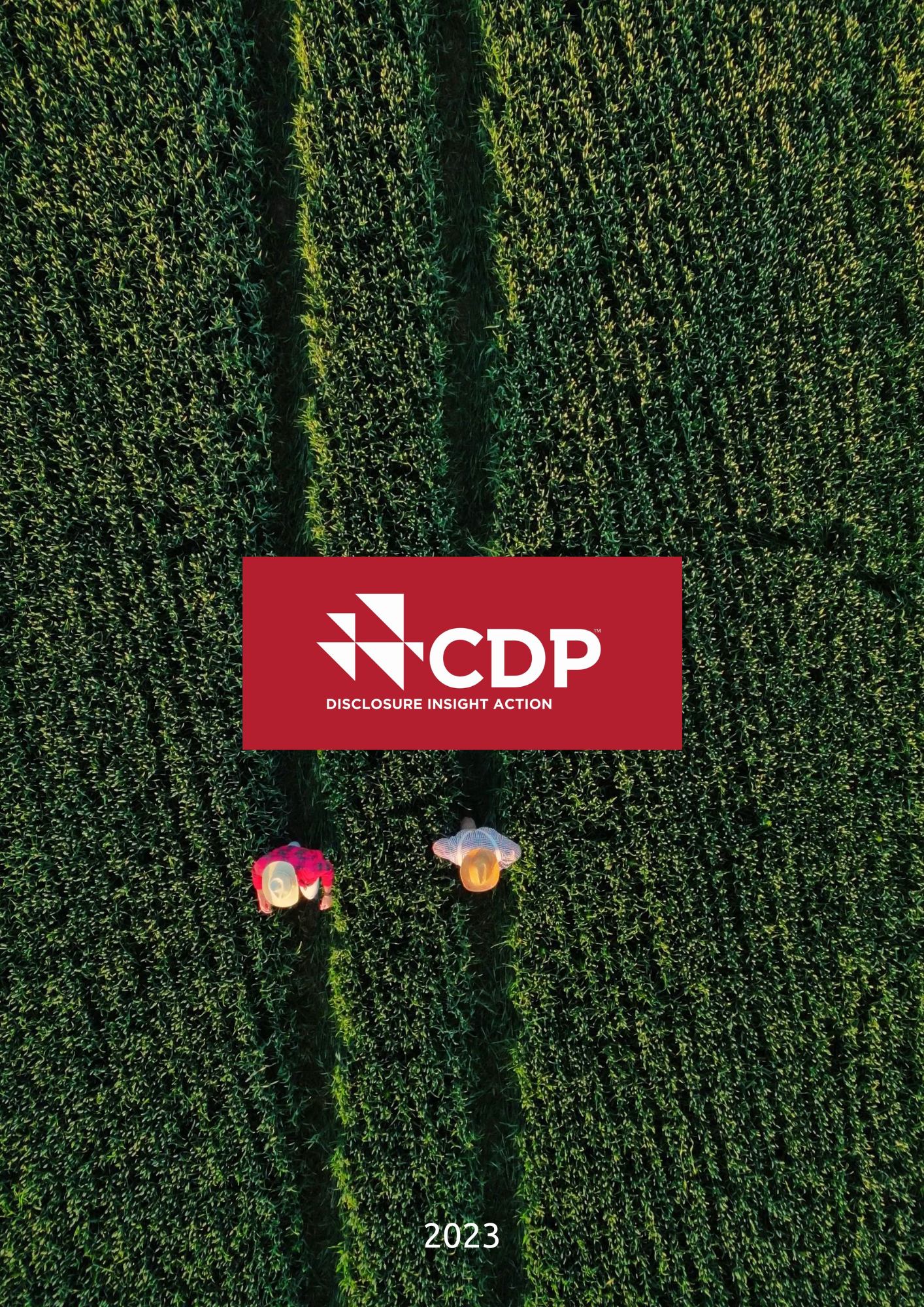 2023 CDP Orman Raporu
