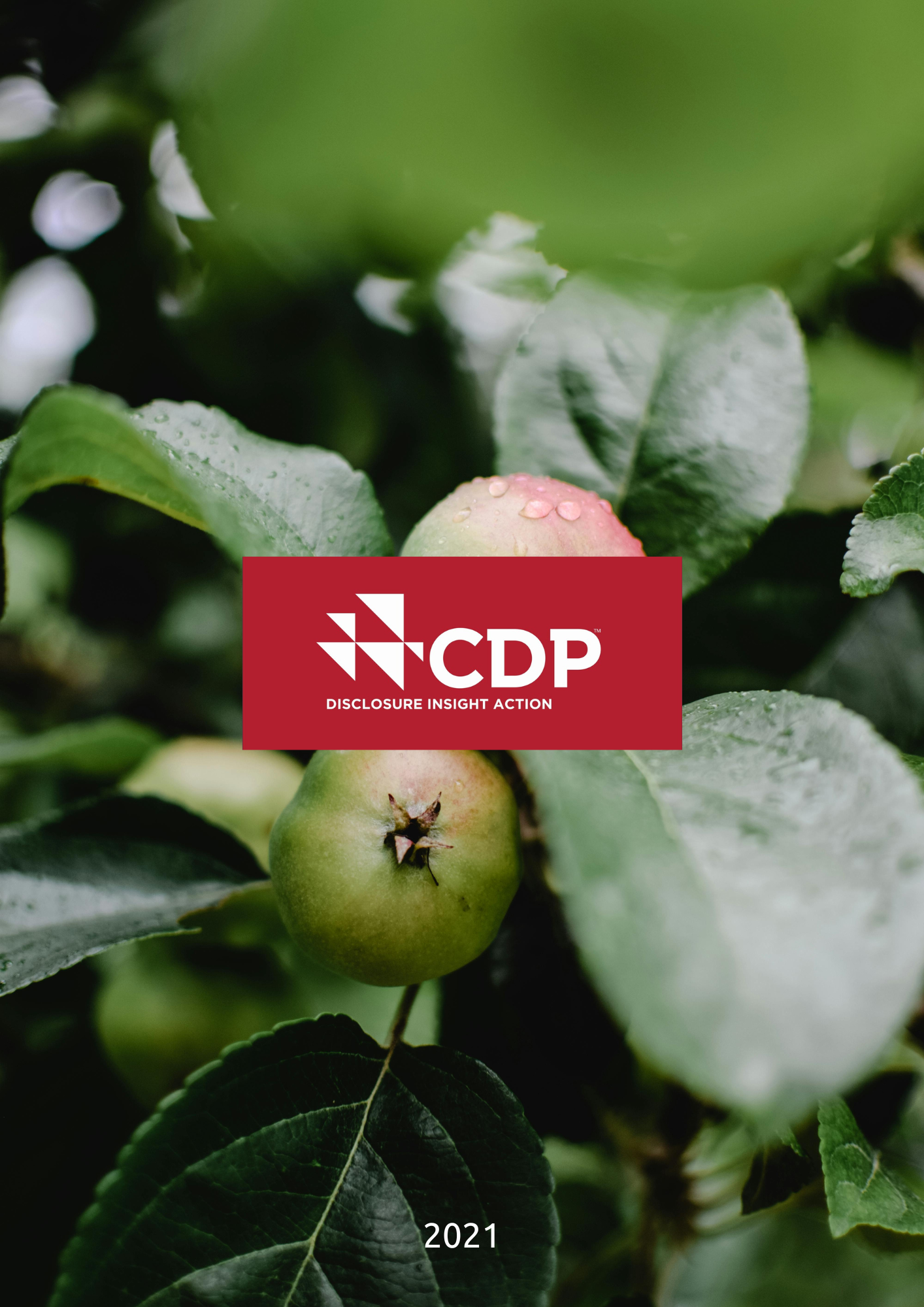2021 CDP Su Güvenliği Raporu