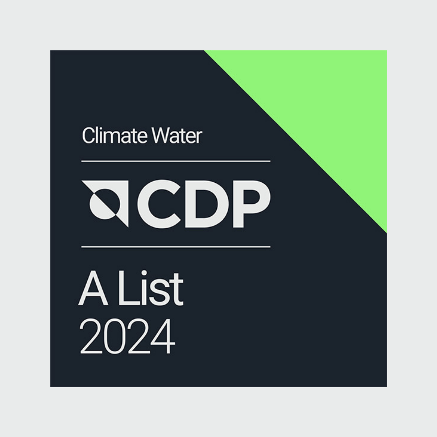 What is Carbon Disclosure Project (CDP)?
