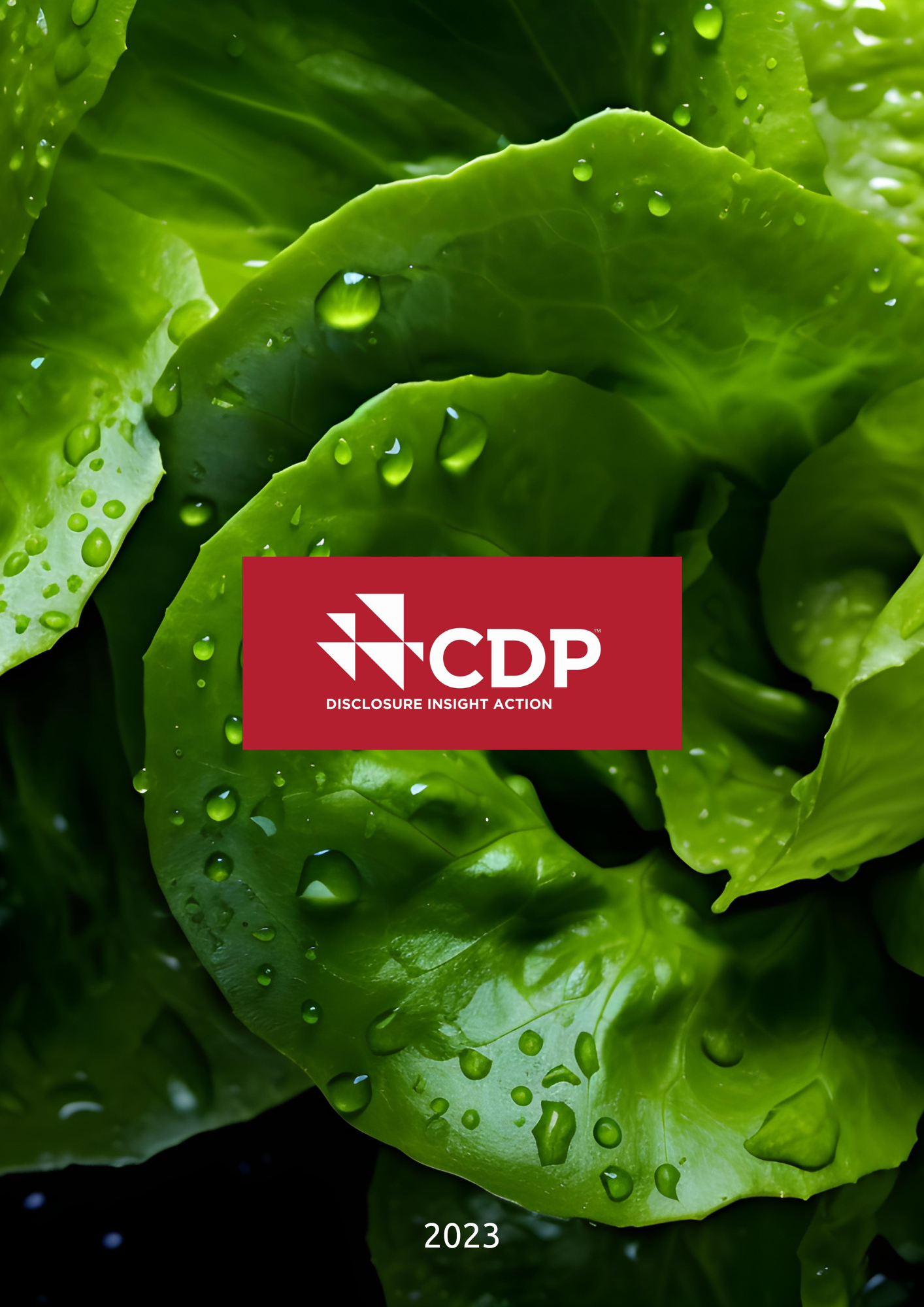 2023 CDP Su Güvenliği Raporu