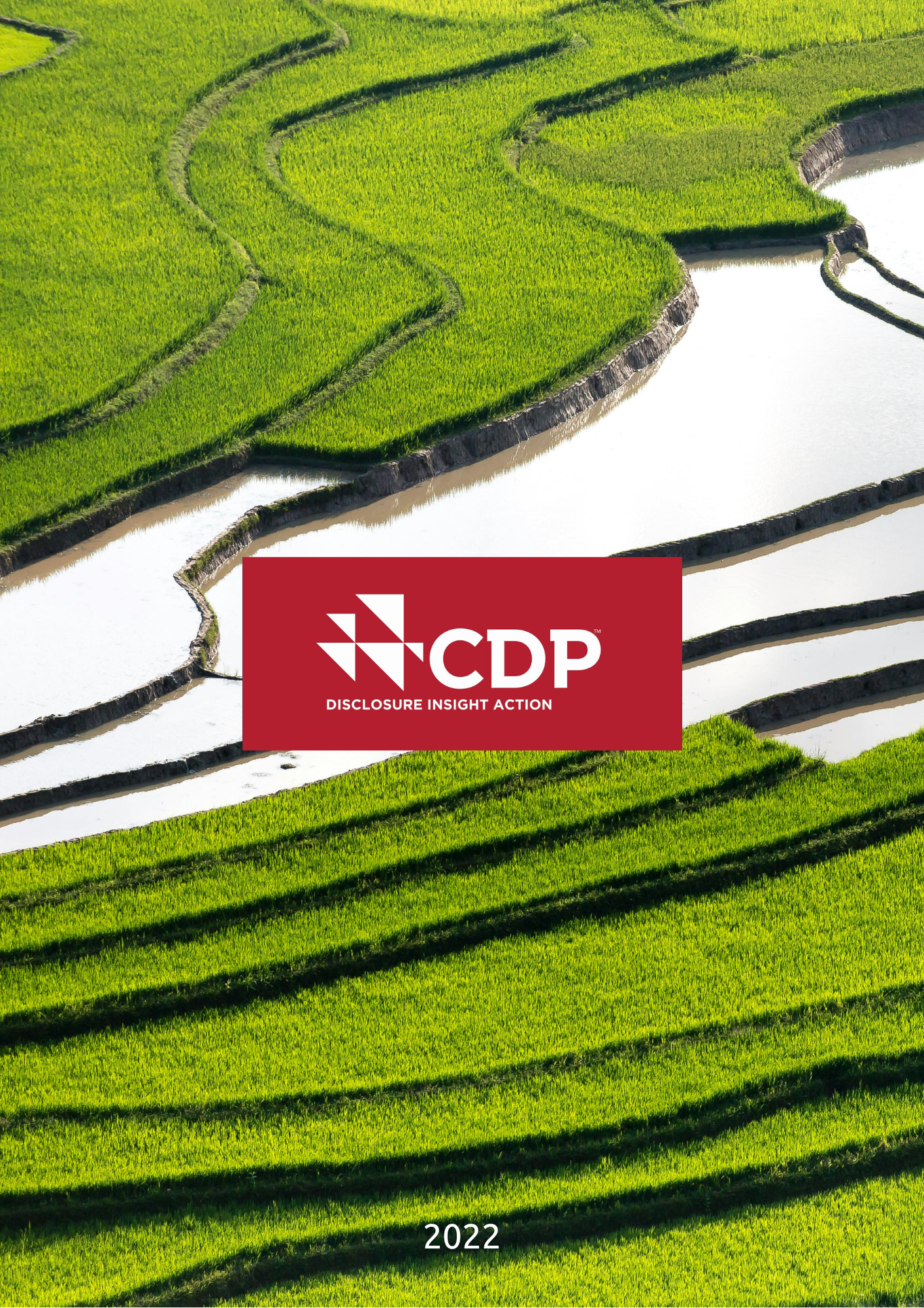 2022 CDP Su Güvenliği Raporu