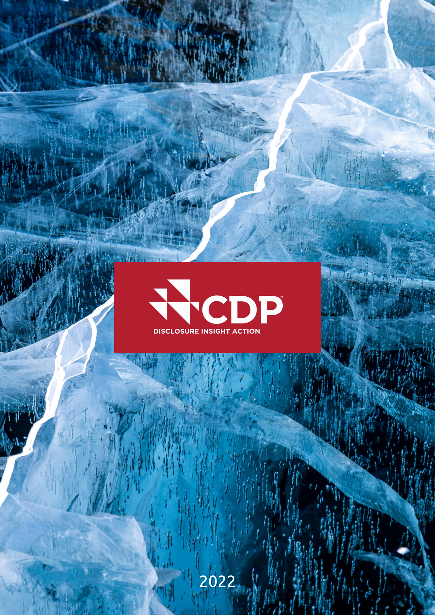 2022 CDP İklim Değişikliği Raporu 
